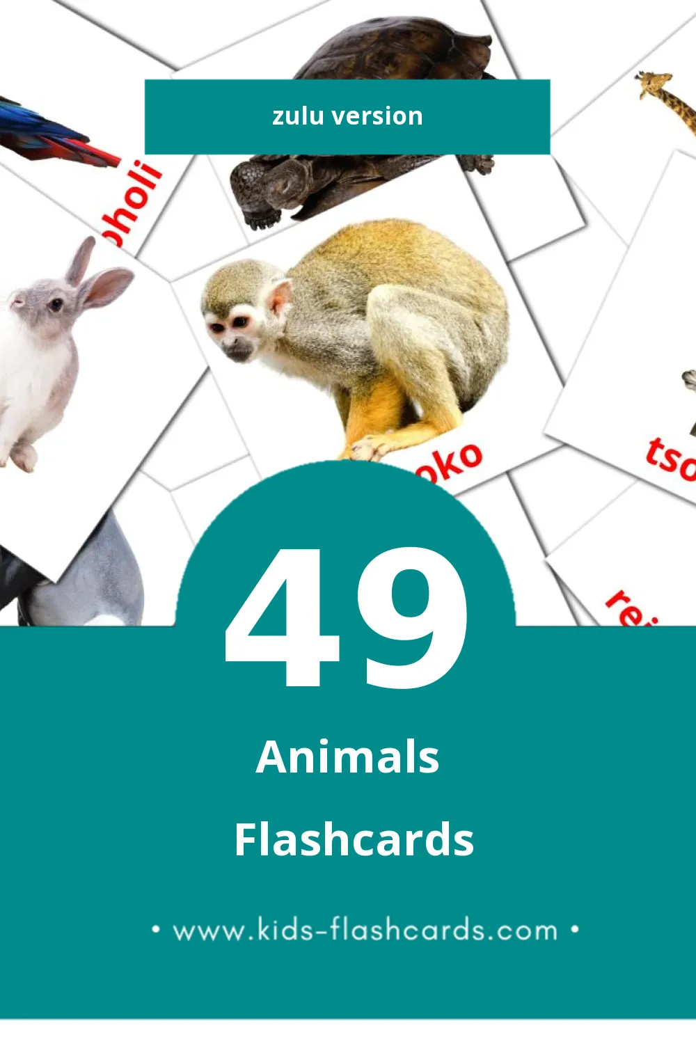 Visual Mhuka Flashcards for Toddlers (49 cards in Zulu)