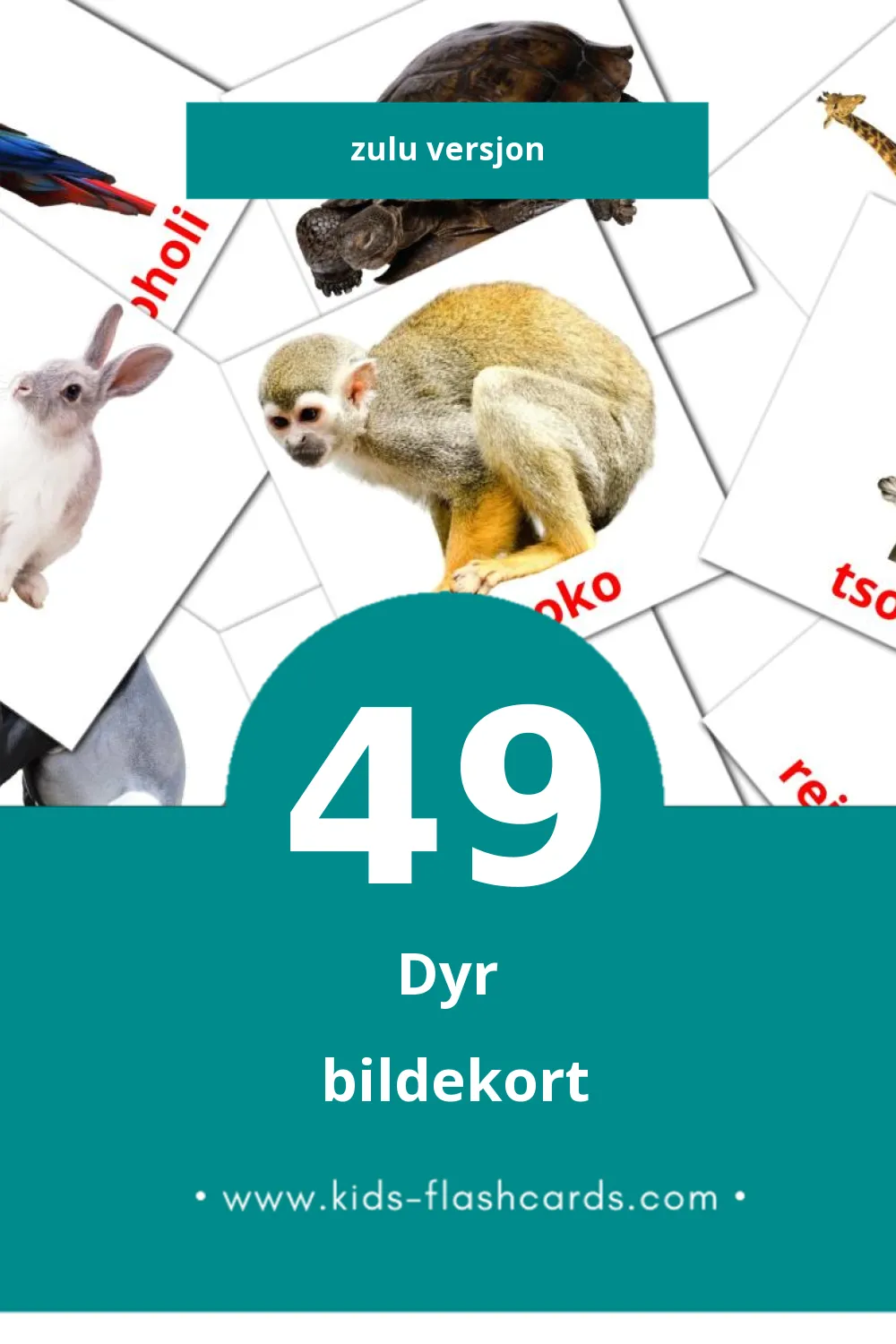 Visuelle Mhuka bildekort for småbarn (49 kort på Zulu)
