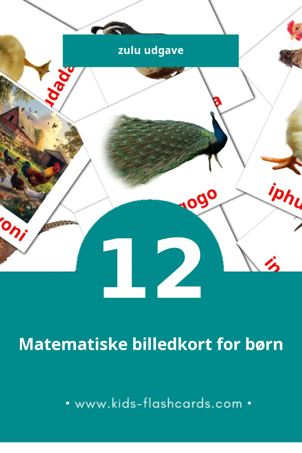 Visuelle billedkort for børn om Inyoni til småbørn (12 kort på Zulu)