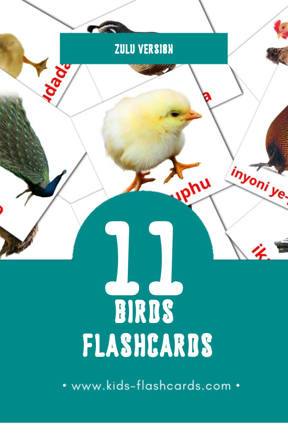 Visual Inyoni Flashcards for Toddlers (11 cards in Zulu)
