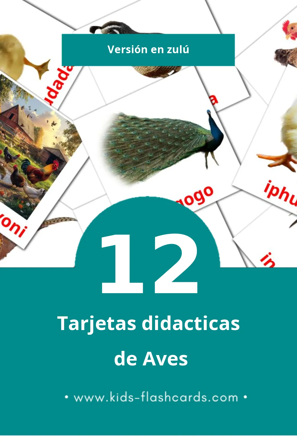 Tarjetas visuales de Inyoni para niños pequeños (12 tarjetas en Zulú)