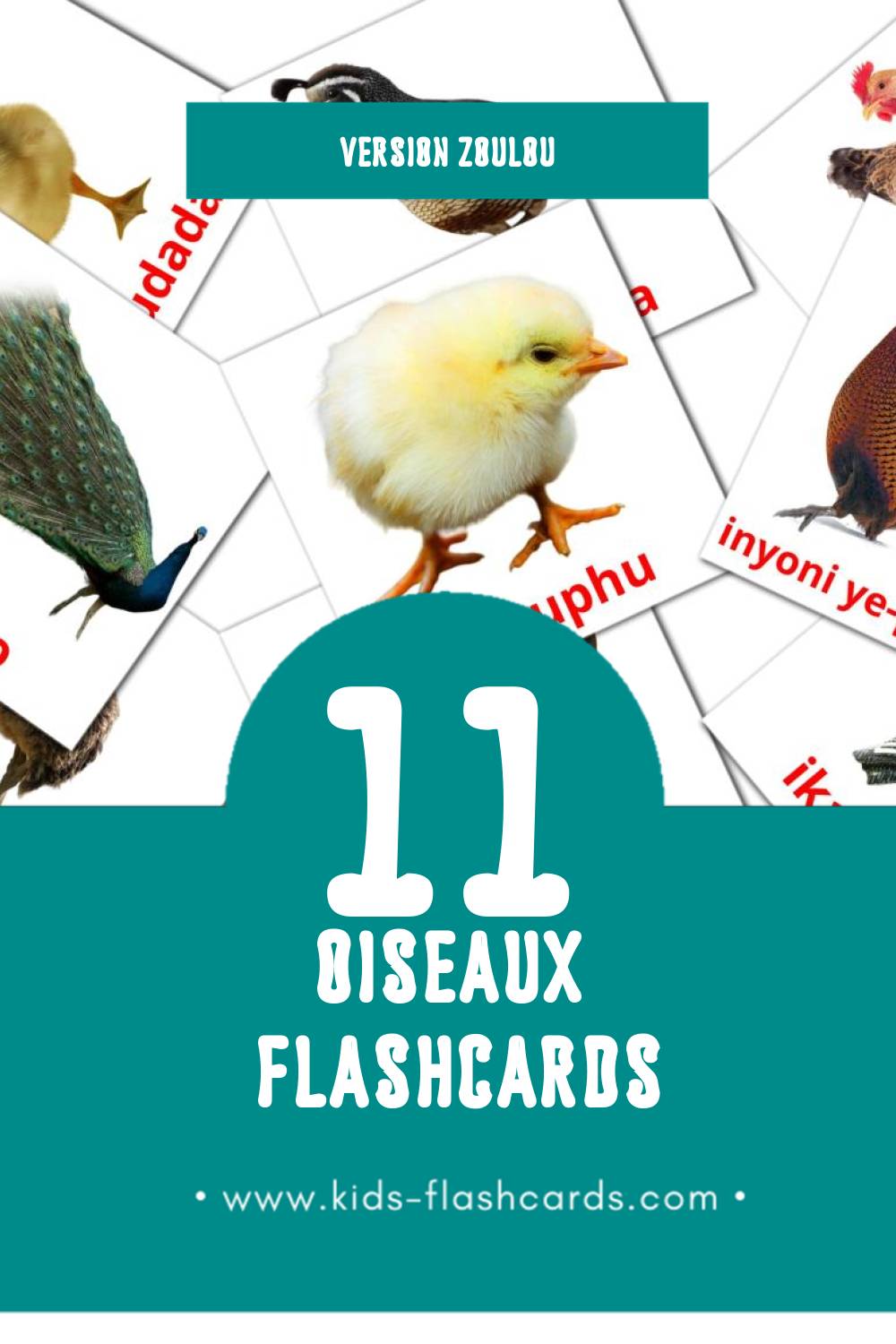 Flashcards Visual Inyoni pour les tout-petits (11 cartes en Zoulou)