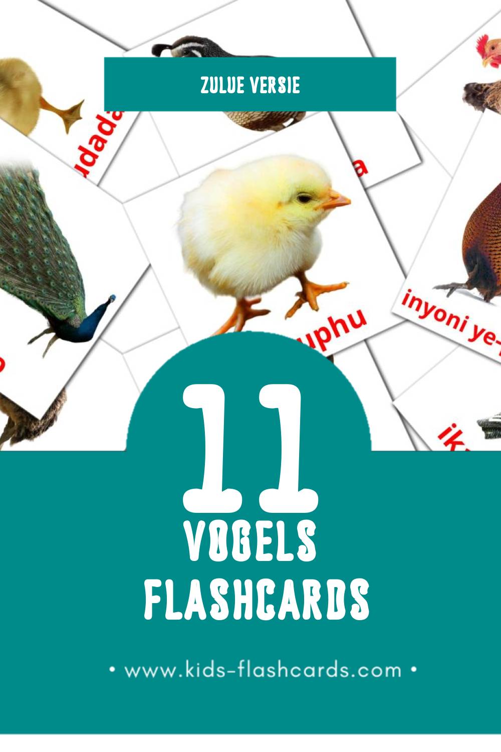 Visuele Inyoni Flashcards voor Kleuters (11 kaarten in het Zulu)