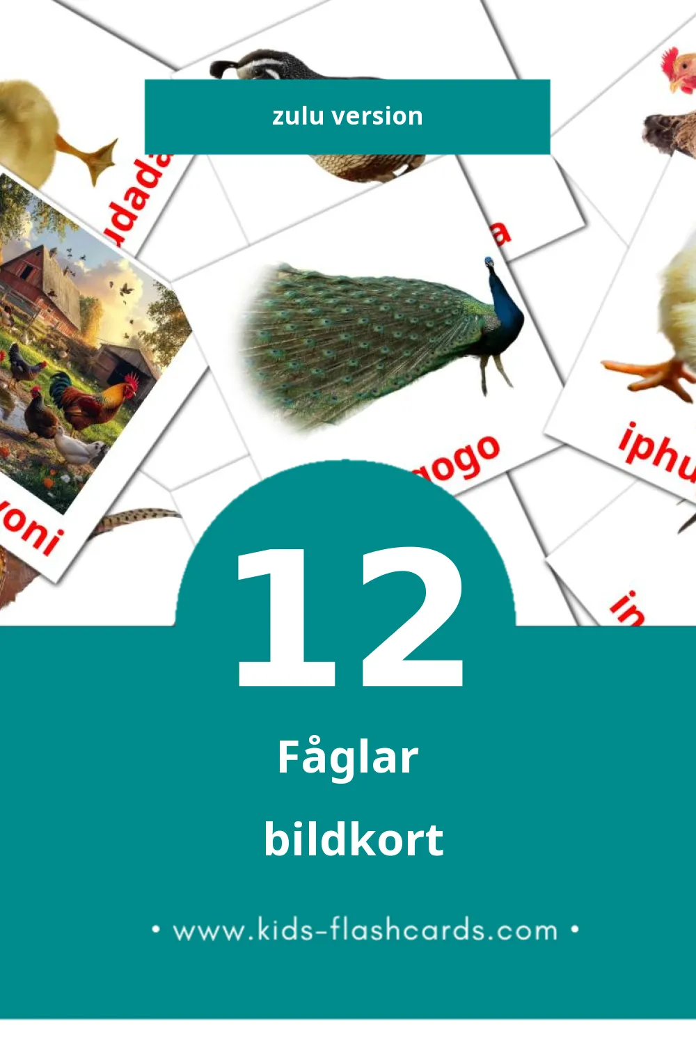 Visuella Inyoni för småbarn (12 bildkort för barn på Zulu)
