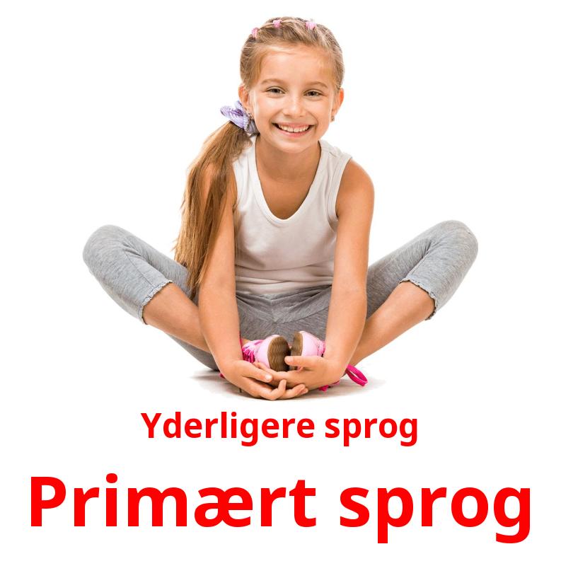 Eksempel på tosprogede billedkort for børn