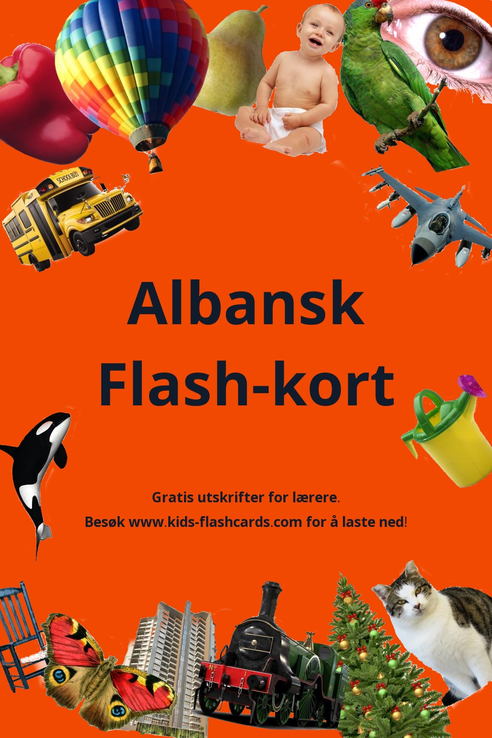 Gratis utskrifter på Albansk