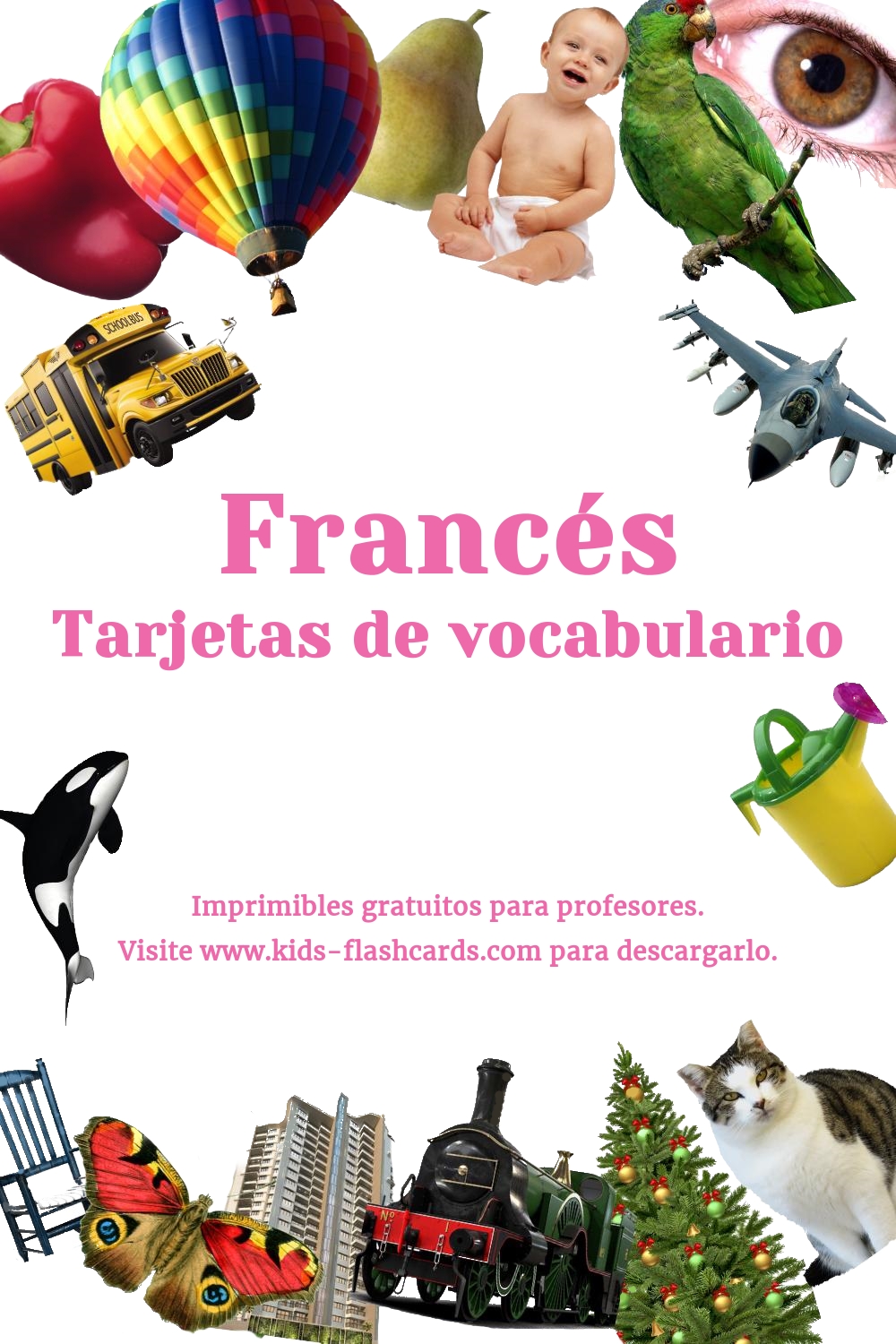 tarjetas de vocabulario en Francés