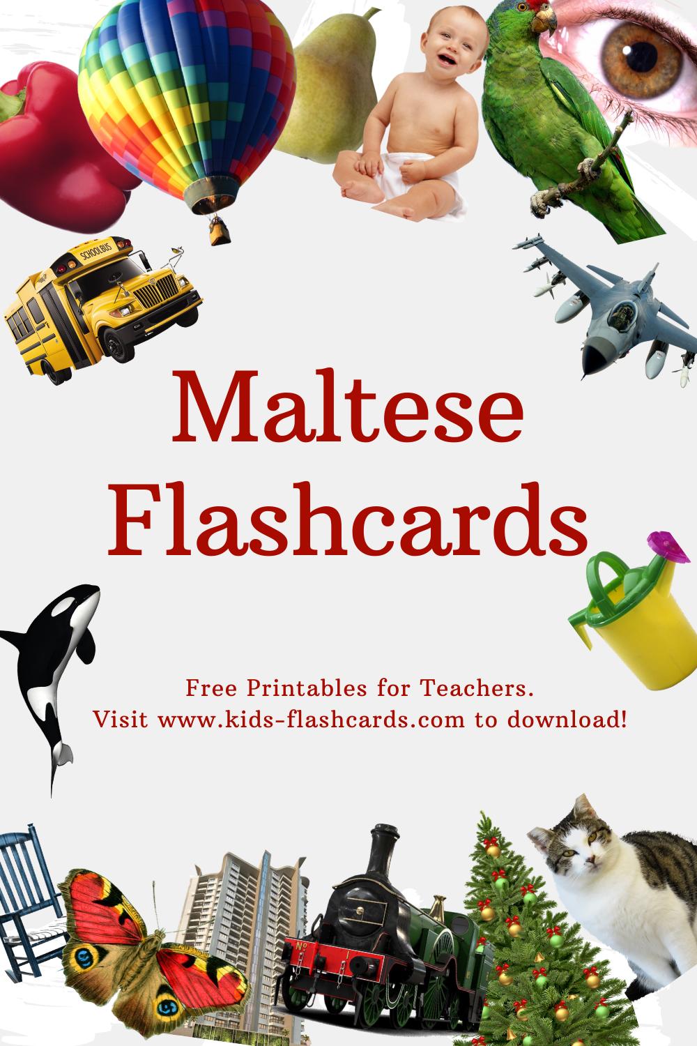 Worksheets to learn Maltese language